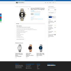 Professional Watch Dropshipping Store | Dropship Turnkey Business | Website