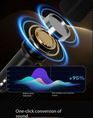 Wireless outdoor karaoke microphone and speaker with lyrics display all-in-one