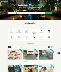 Premium Classifieds Website + Free Hosting with SSL