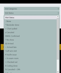 EMR website. Apointments. Prescriptions. Payments 50+ pages 1000000 drugs, terms