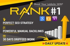Rank your website on Google FAST with our 30-day dripfed Backlinks Package