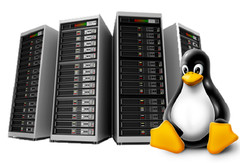 Trusted Web Hosting – 🛡️Unlimited Fast SSD | Emails | 24/7 Best Help $14.99/Yr
