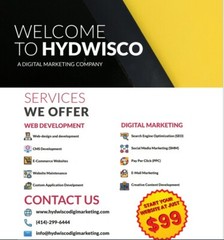 Professional Custom Website from HydWisco Digital!