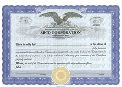 SEASONED AGED DELAWARE CORPORATION For Sale- 3+ YRS Filed 3-2022+EIN+Domain+Kit