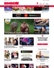 Viral Buzz News Website + Free Installation