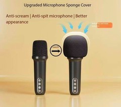 Wireless outdoor karaoke microphone and speaker with lyrics display all-in-one