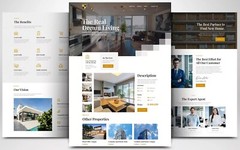 PROFESSIONAL CUSTOM WEBSITE FOR REAL ESTATE AGENCY & REAL ESTATE AGENT WORDPRESS