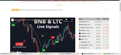 Automated Bit Coin AUTO UPDATING Crypto Coins Online WordPress Website BUSINESS
