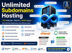 Unlimited Subdomains Hosting – 🌐 Fast Turbo SSD Speed + Unlimited | $14.99/Year