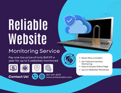 Keep your websites safe & Let us worry about your Website Monitoring