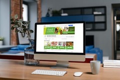 ebay store listing template, free logo design and 45 sec video ad for ebay store