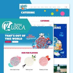 CUSTOM ECOMMERCE WEBSITE DESIGN PROFESSIONAL & MOBILE FRIENDLY