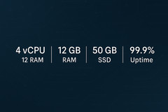 Linux VPS Hosting 12GB RAM / 50GB SSD / 4 vCPU – Unlimited Bandwidth / 12 months