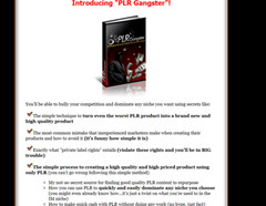 Selling PLR E books, Guides & Courses Plus Splash Pages Make Cash Online Bundle