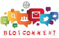 10 Manual Niche Relevant Blog Comments for TOP GOOGLE RANKINGS