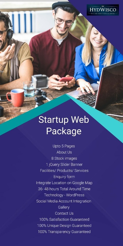 Professional Custom Website from HydWisco Digital!