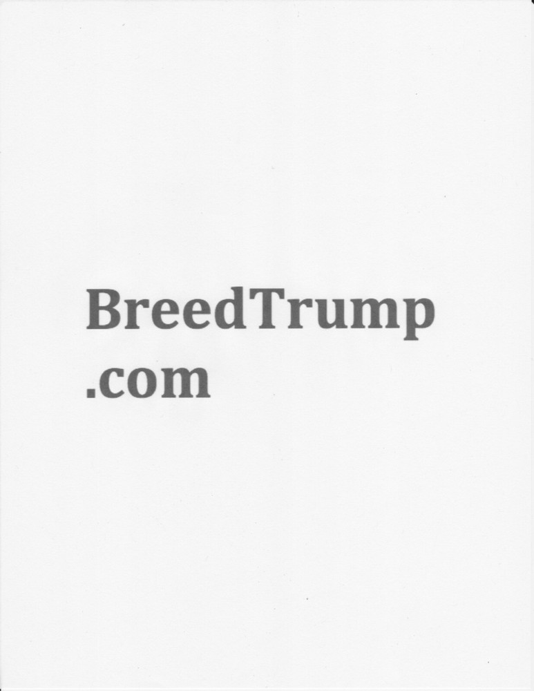BreedTrump.com Domain Name For Sale