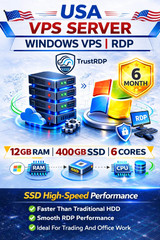 Windows VPS RDP Server 12GB RAM 400GB SSD 6 Month Fast Remote Desktop Hosting