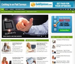 Paid Surveys Ready Made Blog Turnkey Niche Website Business for Sale