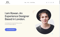DFY CV WordPress Theme+free Install
