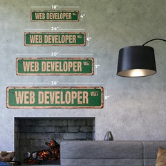 WEB DEVELOPER Vintage Street Sign deDecal website Designer site internet