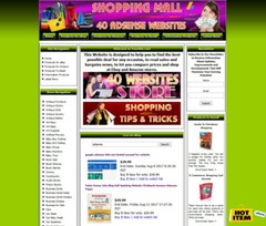 40 GOOGLE ADSENSE AUTOMATED WEBSITES STORE FOR SALE