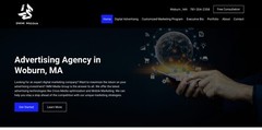 Professional & Custom WordPress ECommerce Website Design Package