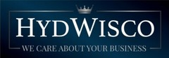 Professional Custom Website from HydWisco Digital!