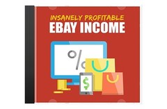 Insanely Profitable Ebay Income Audio Course