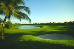 LoveToGolf.com Travel Resort Vacation Domain Golf Sports Tourism $40k