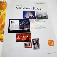 Essential FLASH skills Create Websites Movies Animation MP3 Graphics W/cd PC Tec