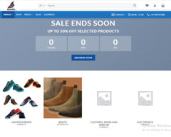 Make Money Shoe Store Profitable Drop Shipping Website Free Hosting / Setup