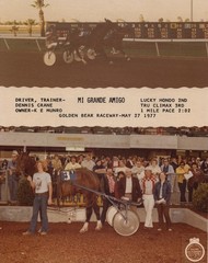 HarnessRacing.WS INTERNET DOMAIN HARNESS HORSE RACING STANDARDBRED HORSE HISTORY
