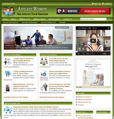 Affiliate Marketing Ready Made Blog for Easy Use Niche Website Business For Sale