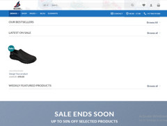 Make Money Shoe Store Profitable Drop Shipping Website Free Hosting / Setup