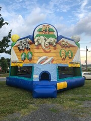 Established business for sale. Possibility of franchising the name