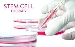 Veterinary Stem Cell Therapy Premium Domains WWW.STEMVET.COM & WWW.STEMVET.NET