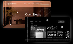 I will do wordpress ecommerce website design and development