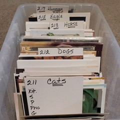 $$$ – POSTAGE STAMP ART – BUSINESS & COMPLETE INVENTORY – $$$ MAKE AN OFFER $$$
