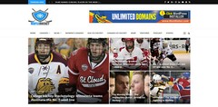 WordPress Automated Ice Hockey News Website – Turnkey Profitable Site